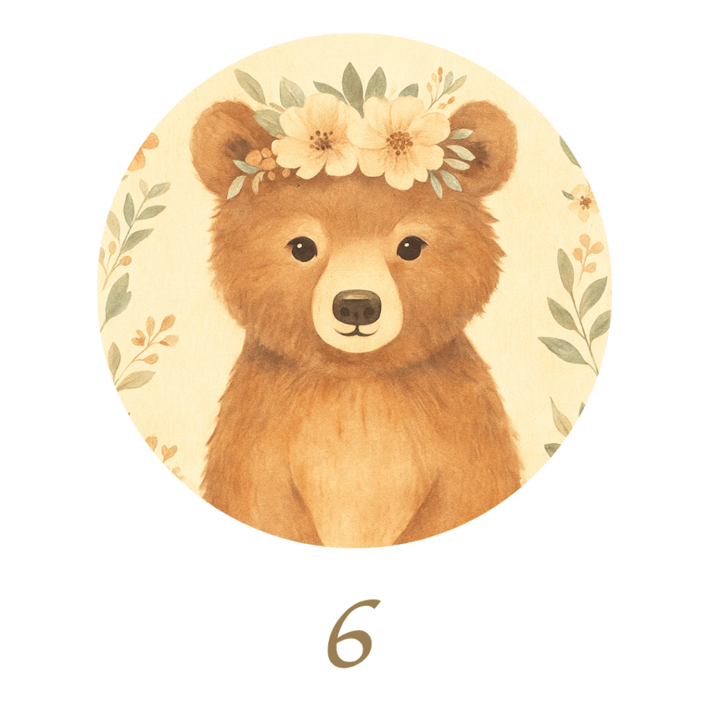 数秘6クマ