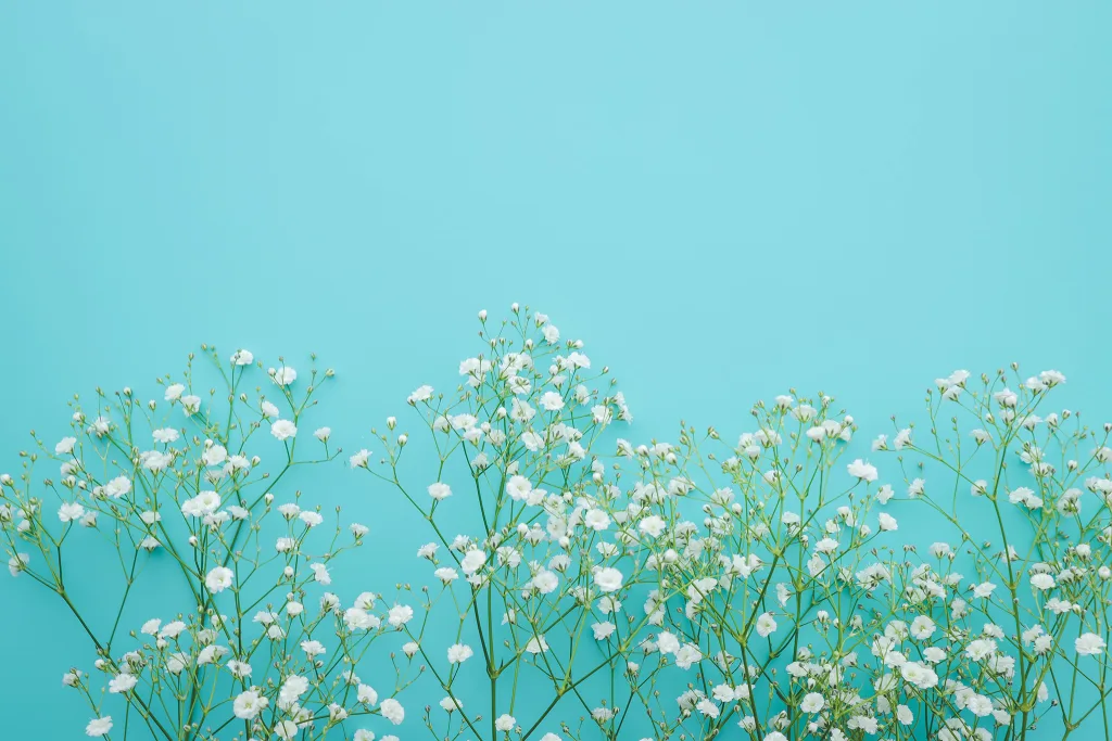 爽やかなブルーに小花が可愛いかすみ草。流れやリズムを表している。